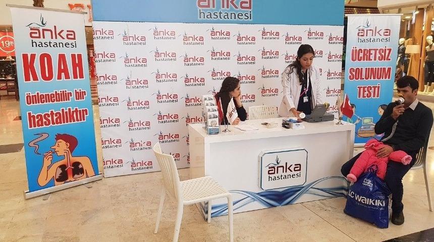 Anka Koah&rsquo;a Dikkat &Ccedil;ekti