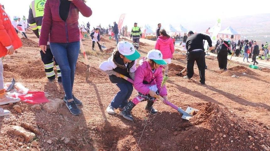 Şehitkamil&rsquo;e Yeni Bir Orman Kazandırıldı