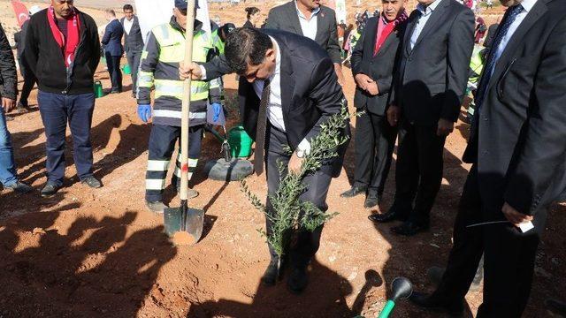 Şehitkamil&rsquo;e Yeni Bir Orman Kazandırıldı 1