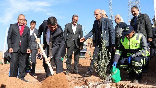 Şehitkamil&rsquo;e Yeni Bir Orman Kazandırıldı 3