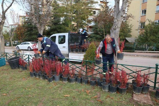 Öğretmenler Parkı 24 Kasım’da Açılıyor