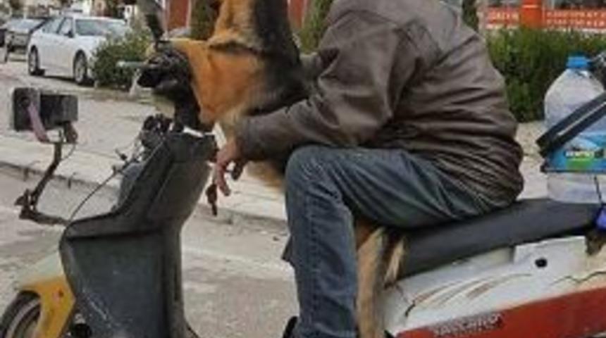 Motosiklet S&uuml;r&uuml;c&uuml;s&uuml; K&ouml;peği İle B&ouml;yle Seyahat Etti