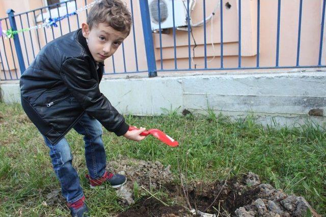 Premat&uuml;re Bebek Farkındalık Buluşmasında Fidan Diktiler 1