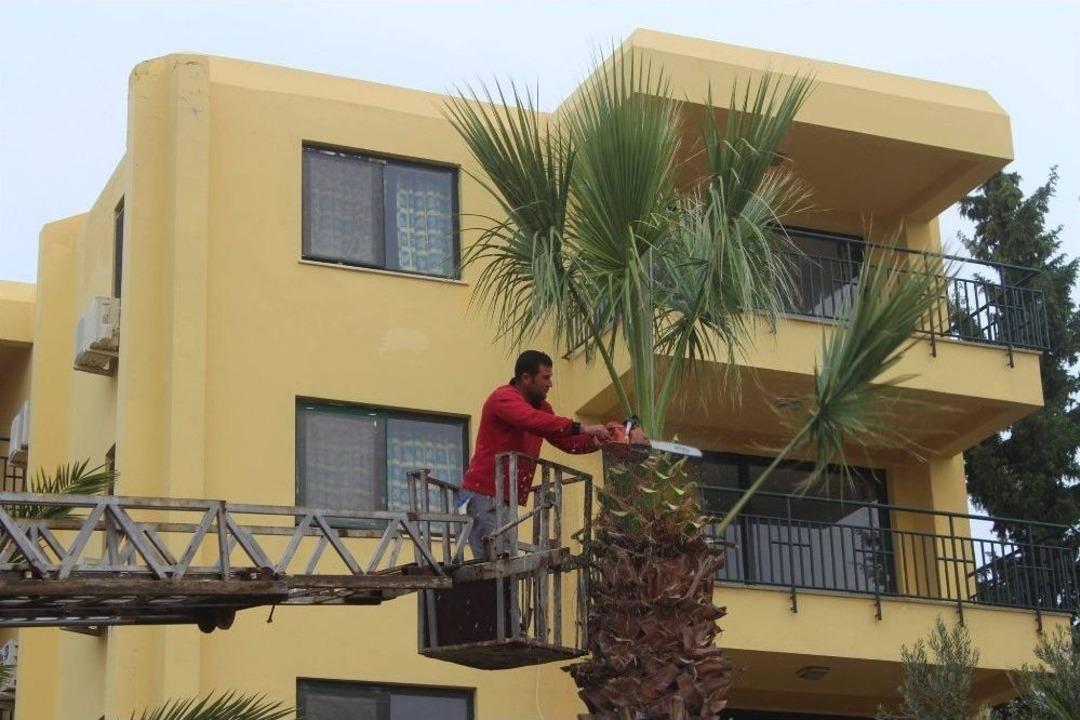 Ayvalık&rsquo;ta Yeşil Alanların Kışlık Bakımı T&uuml;m Hızıyla S&uuml;r&uuml;yor