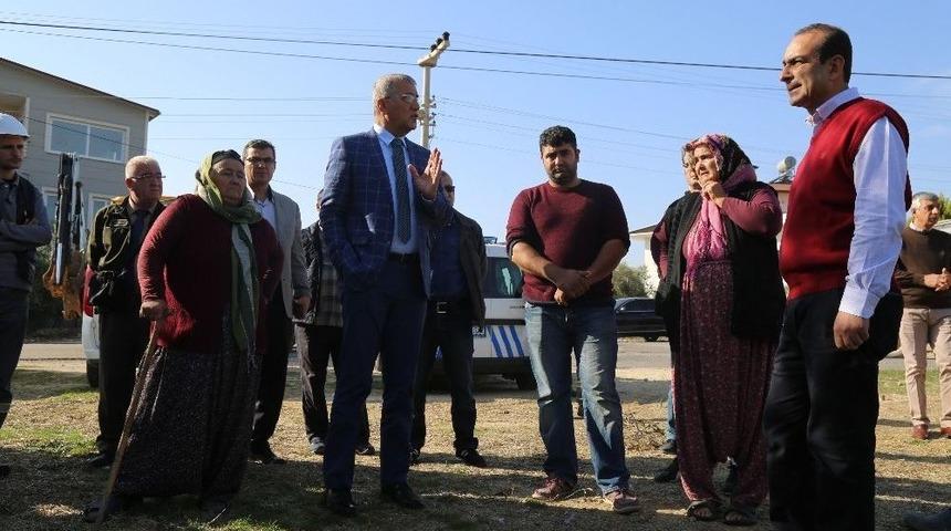 Başkan Tarhan M&uuml;dahale Etti Ağa&ccedil;lar Kesilmekten Kurtuldu