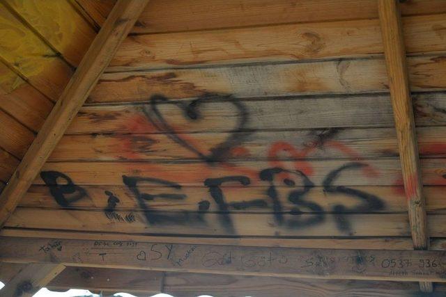 Şehir Eşkiyaları Yine İş Başında 2