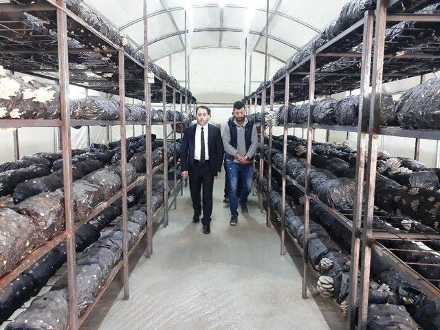 &lsquo;gen&ccedil; &Ccedil;ift&ccedil;i Projesi&rsquo; Kapsamında Mantar &Uuml;retimi 1