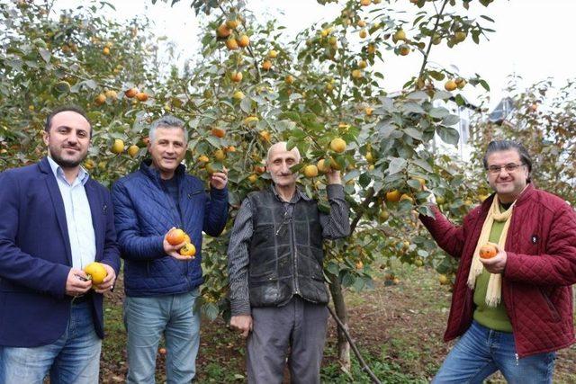 Bu Meyveye İsmini Verdi Ama...