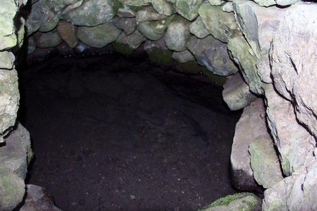 Sırrı Bilinmeyen Balıklar 1