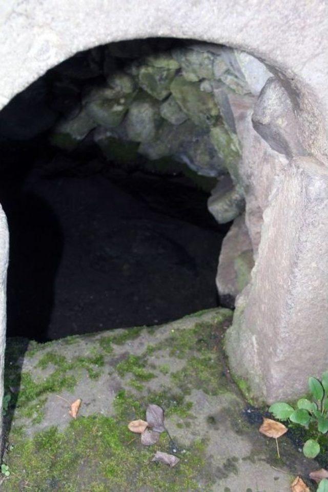 Sırrı Bilinmeyen Balıklar 2