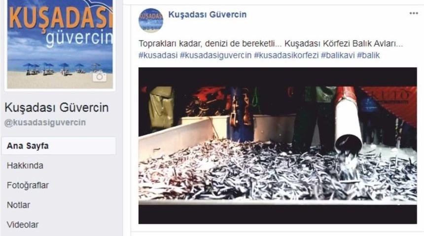Kuşadası Ticaret Odası &ldquo;kuşadası K&ouml;rfezi Balık Avları&ldquo; İ&ccedil;in Tanıtım Hazırladı