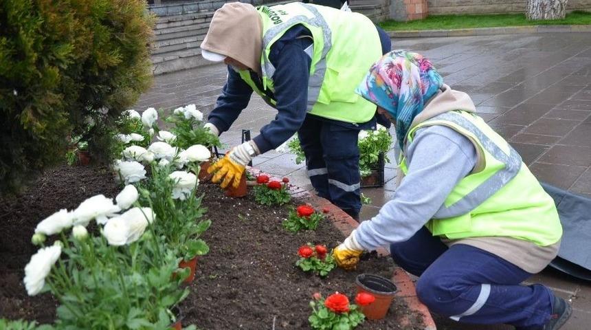 İntikamtepe Şehitliği Ve Cumhuriyet Meydanı Çiçeklendirildi