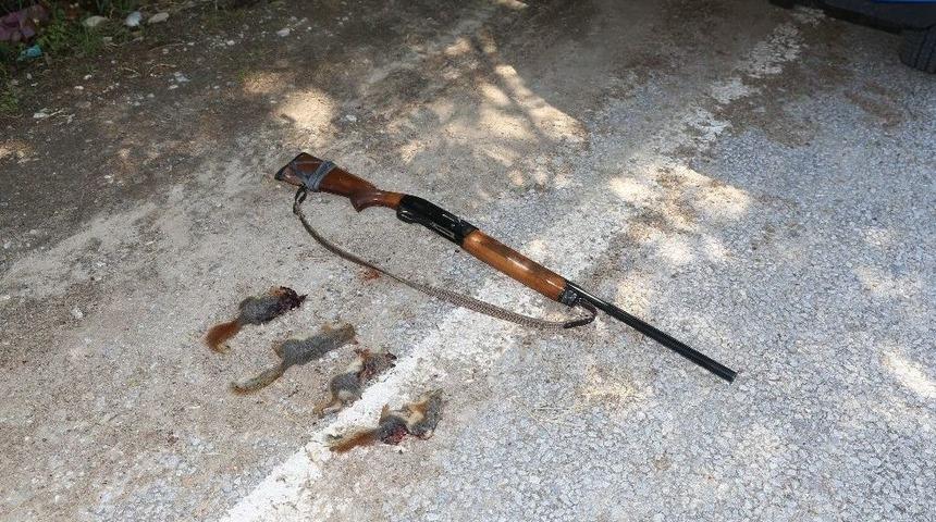 Jandarma Sincap Katliamına &ldquo;dur&rdquo; Dedi