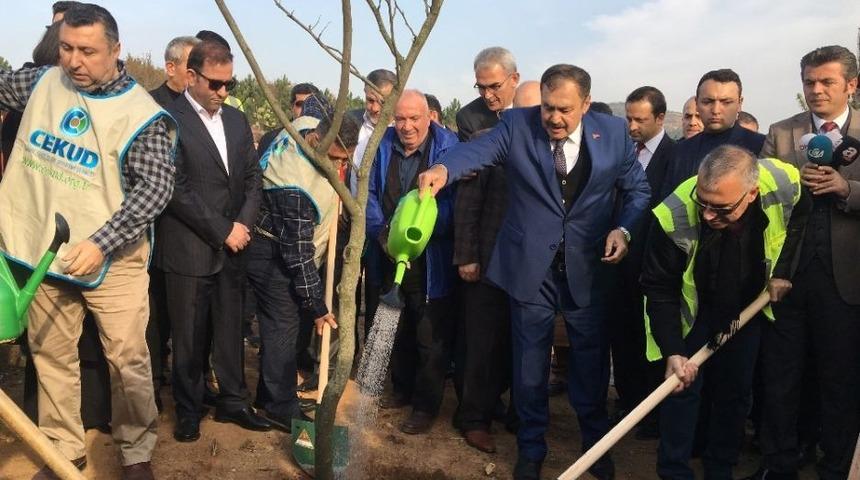 (&ouml;zel Haber) Bakan Eroğlu: &ldquo;naim S&uuml;leymanoğlu Spor Tarihine İsmi Altın Harflerle Kazınacak Bir Kişidir&rdquo;