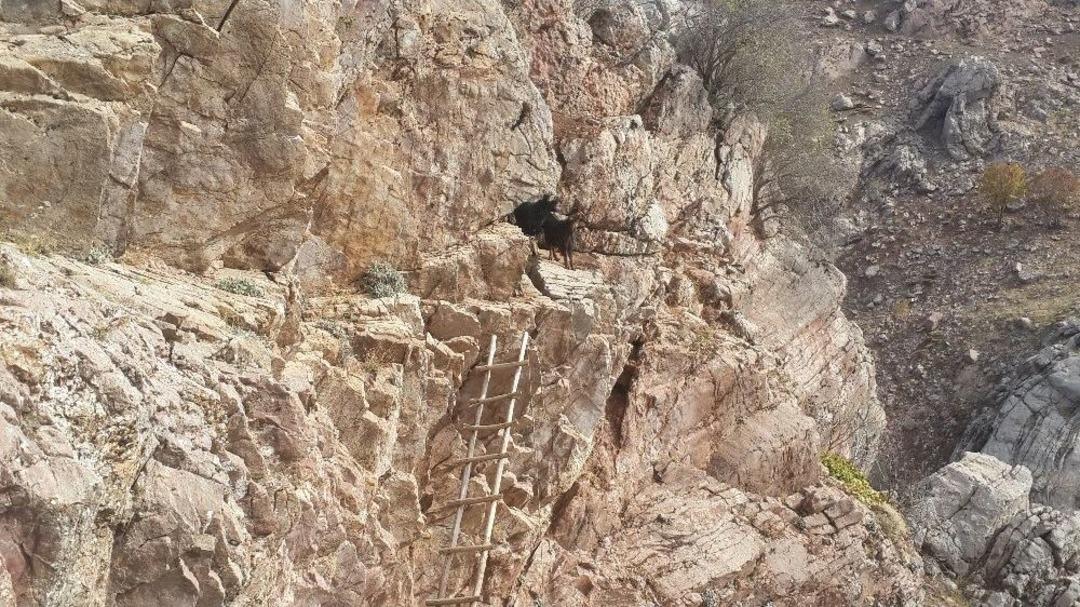 Ke&ccedil;iler Firarda