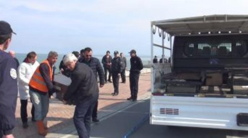 Samsun&rsquo;da Başı, Kolları Ve Ayakları Olmayan Bir Ceset Bulundu