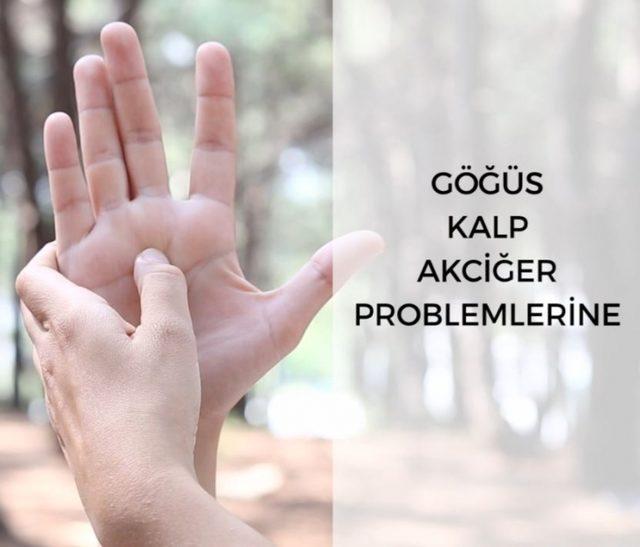 Avuç İçlerindeki Bu Noktaları Ovmak Şifa Veriyor 2