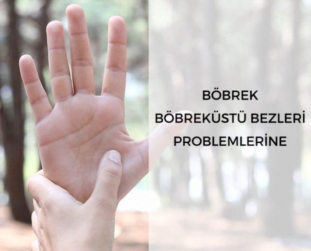 Avuç İçlerindeki Bu Noktaları Ovmak Şifa Veriyor 3