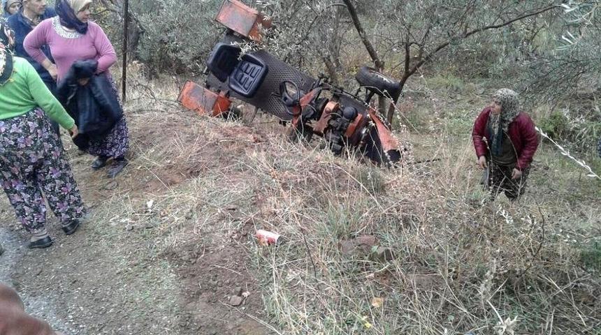 Patpat Zeytin Tarlasına U&ccedil;tu