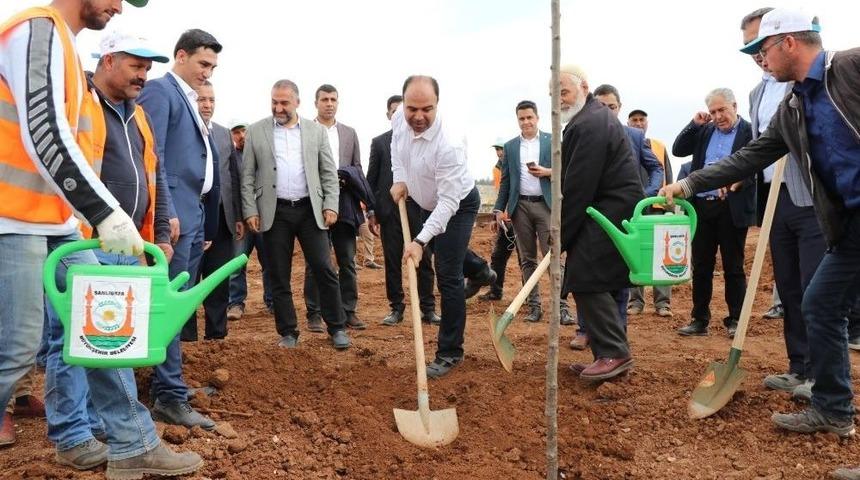 Şanlıurfa Yeşille Buluşmaya Devam Ediyor