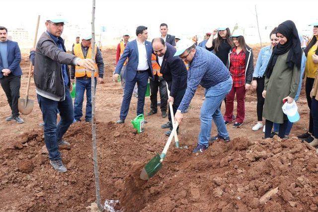 Şanlıurfa Yeşille Buluşmaya Devam Ediyor