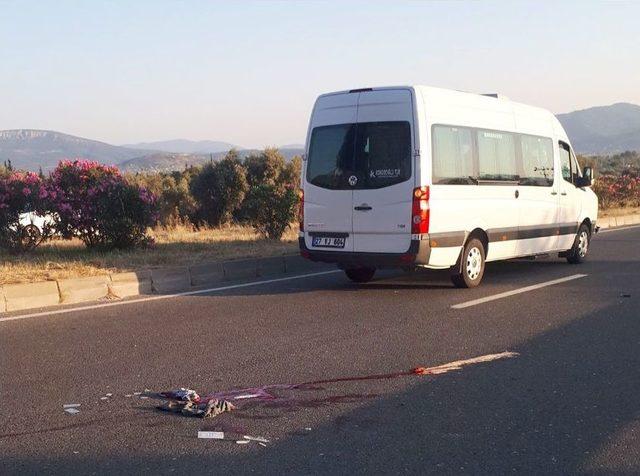 Milas’ta Bisiklet Sürücüsü Feci Kazada Yaşamını Yitirdi