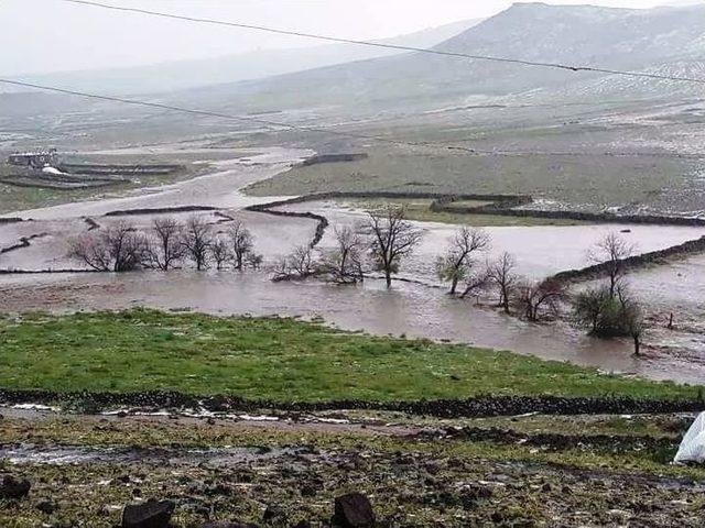 Ergani’de Dere Taştı: 5 Hayvan Telef Oldu