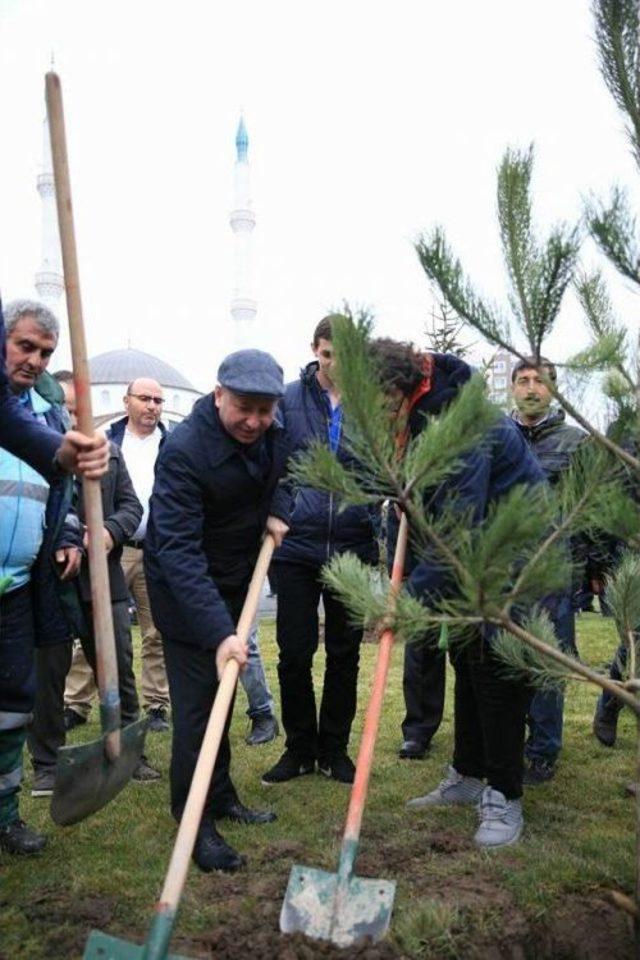 Başkan Çolakbayrakdar, Tıp Bayramını Fidanlarla Taçlandırdı