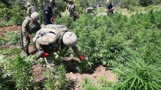 Zehir Tacirleri Ölüleri De Rahat Bırakmadı