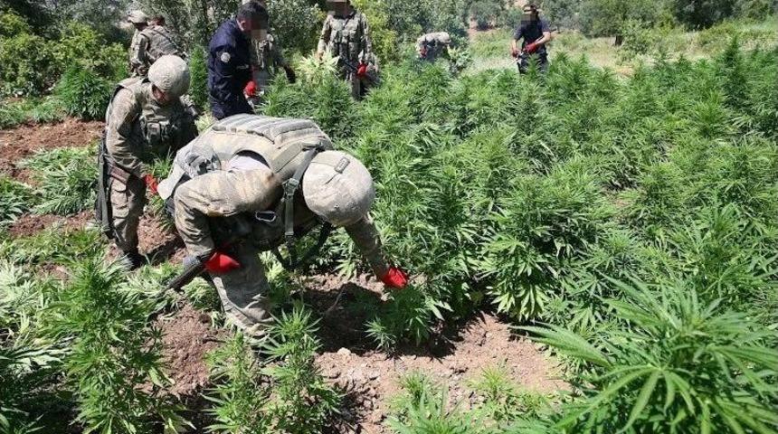 Zehir Tacirleri Ölüleri De Rahat Bırakmadı