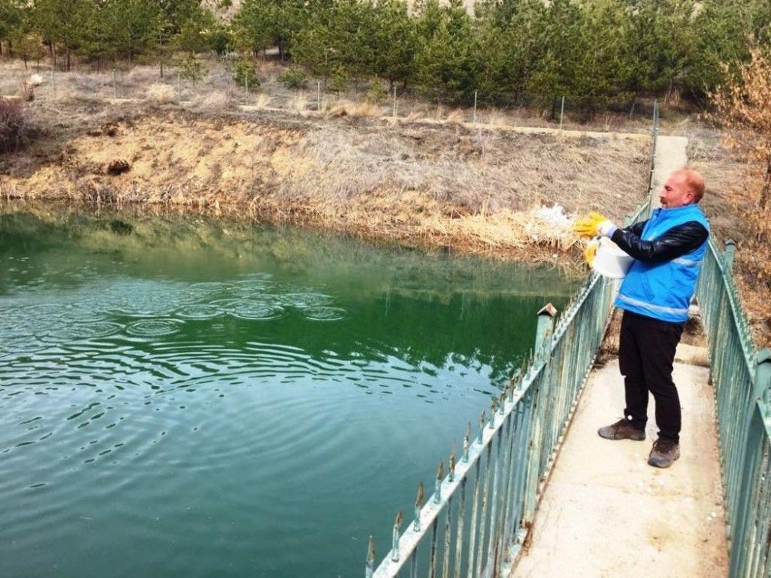 Larvalarla M&uuml;cadele Başladı