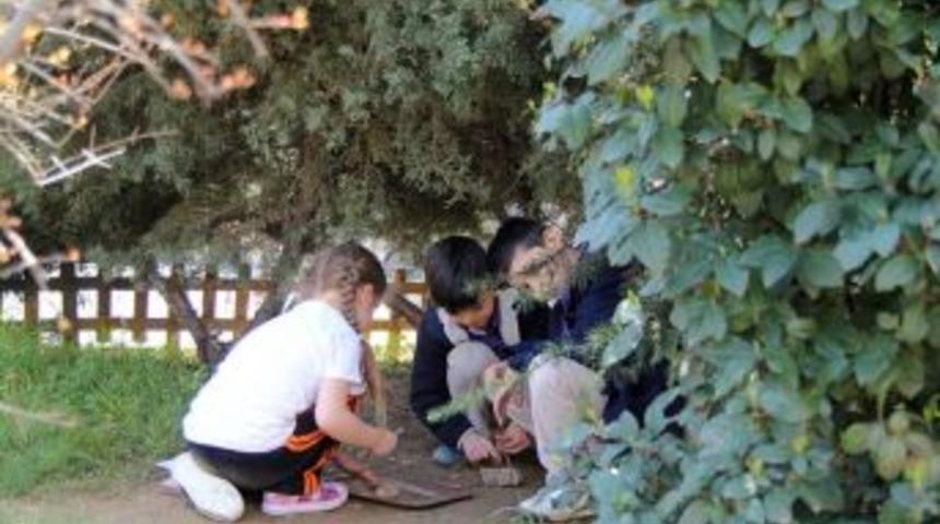 Okullarda &Ccedil;ocuklar İ&ccedil;in Toprak Bah&ccedil;e Kullanımı Artıyor