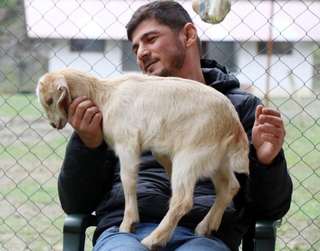 (&ouml;zel) 20 G&uuml;nl&uuml;k Yavru Ke&ccedil;iye Evladı Gibi Bakıyor