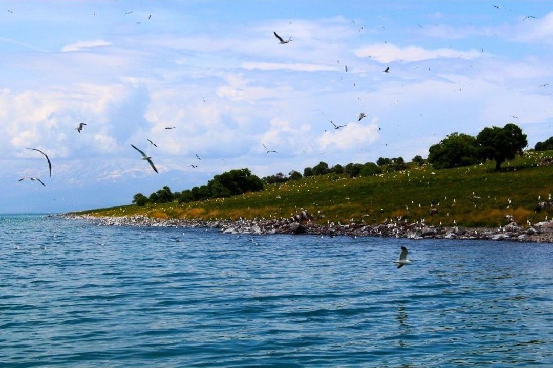 Adır Adası Eşsiz Dokusuyla B&uuml;y&uuml;l&uuml;yor