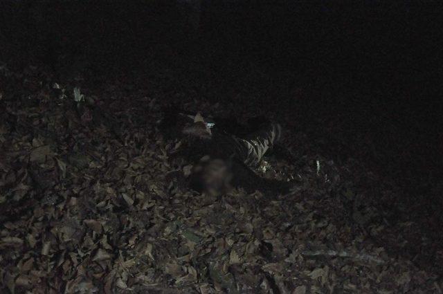 Trakt&ouml;r 100 Metrelik U&ccedil;uruma Yuvarlandı: 2 &Ouml;l&uuml; 2