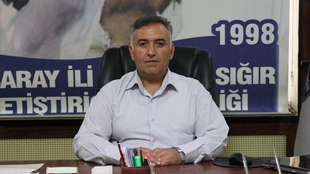 Aksaray’da Hayvan Üreticilerine Yüzde 30 Gebe Düve Desteklemesi