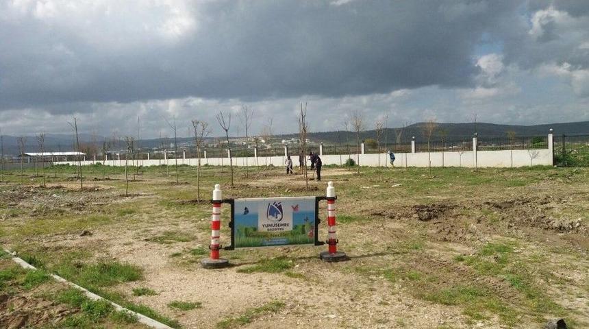 Yunusemre’de Ağaçlandırma Çalışmaları Sürüyor