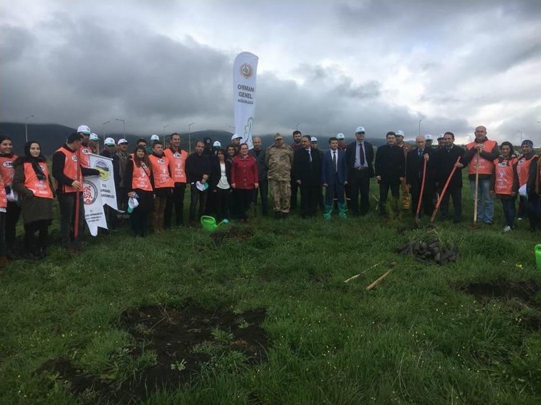 Gaziantep&rsquo;te &rsquo;zeytin Dalı Hatıra Ormanı&rsquo; Dikildi