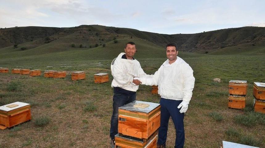 Başkent Balı Markalaştırılacak