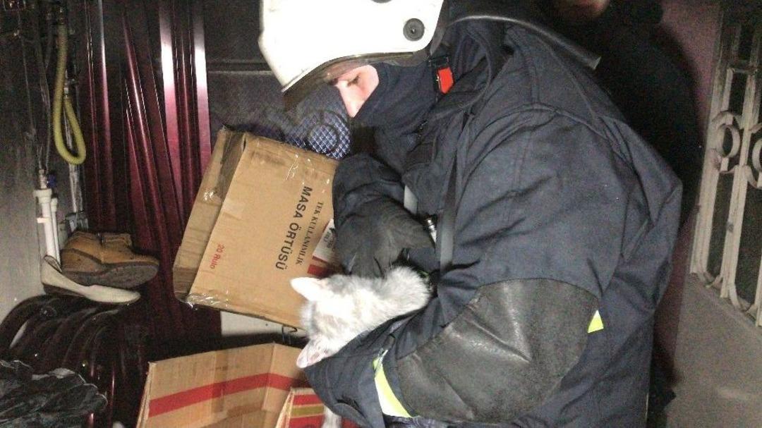İtfaiye Eri Evde &Ccedil;ıkan Yangından Etkilenen Kedileri Kurtarmak İ&ccedil;in Kalp Masajı Yaptı