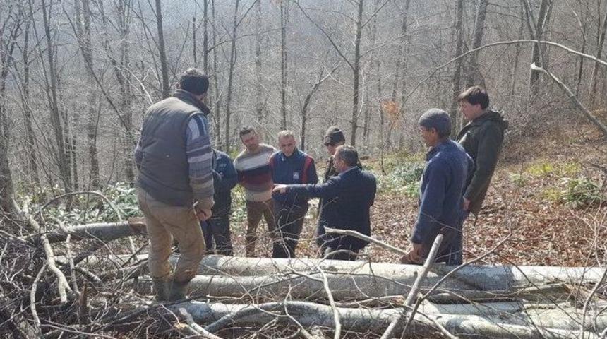 Ak&ccedil;akoca&rsquo;da &Uuml;retim &Ccedil;alışmaları Kontrol Edildi