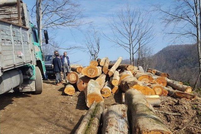 Akçakoca’da Üretim Çalışmaları Kontrol Edildi