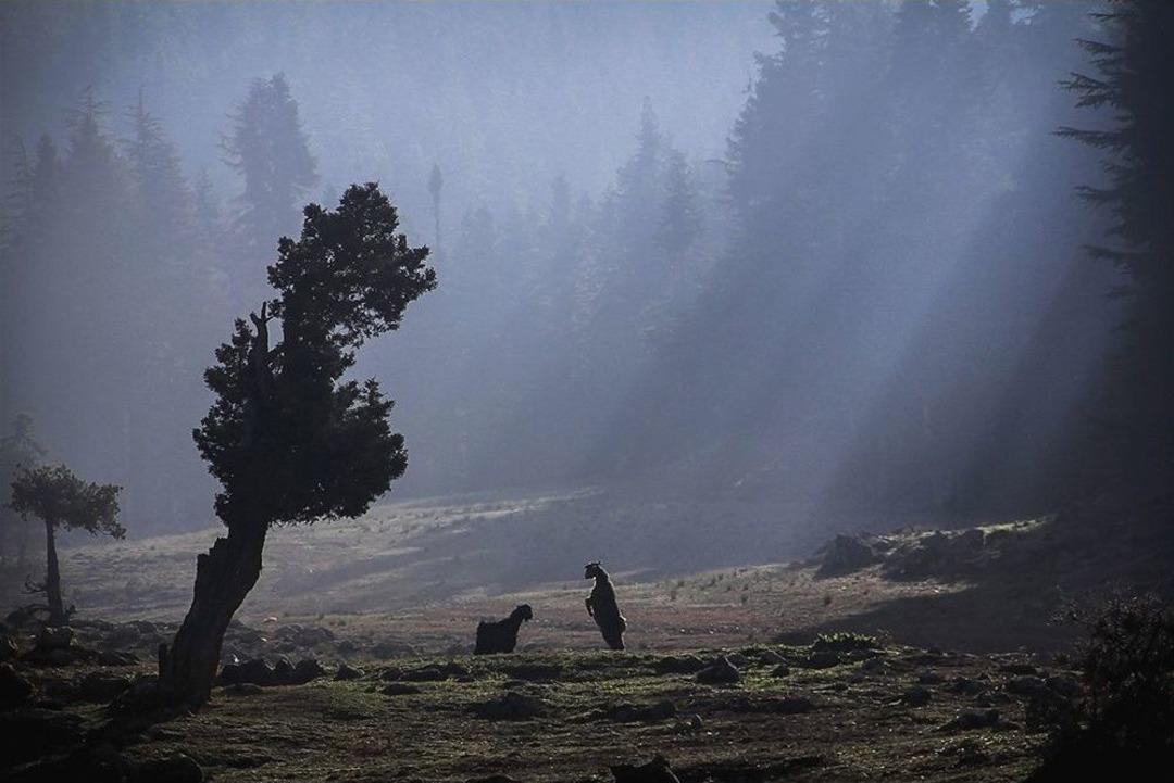 Arka Plan&rsquo;ın Yarışma Sonu&ccedil;ları Belli Oldu