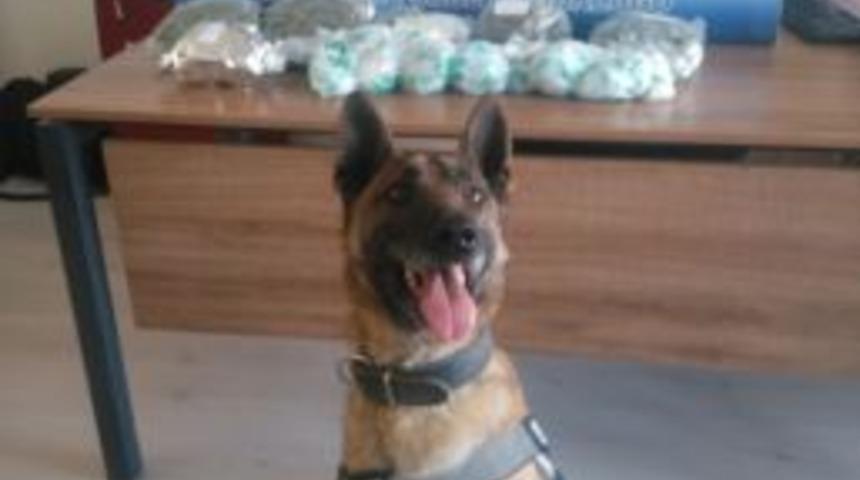 İran&rsquo;dan Isparta&rsquo;ya U&ccedil;akla Gelen Yolcunun Bavulunda 1 Kilo 236 Gram Uyuşturucu Ele Ge&ccedil;irildi