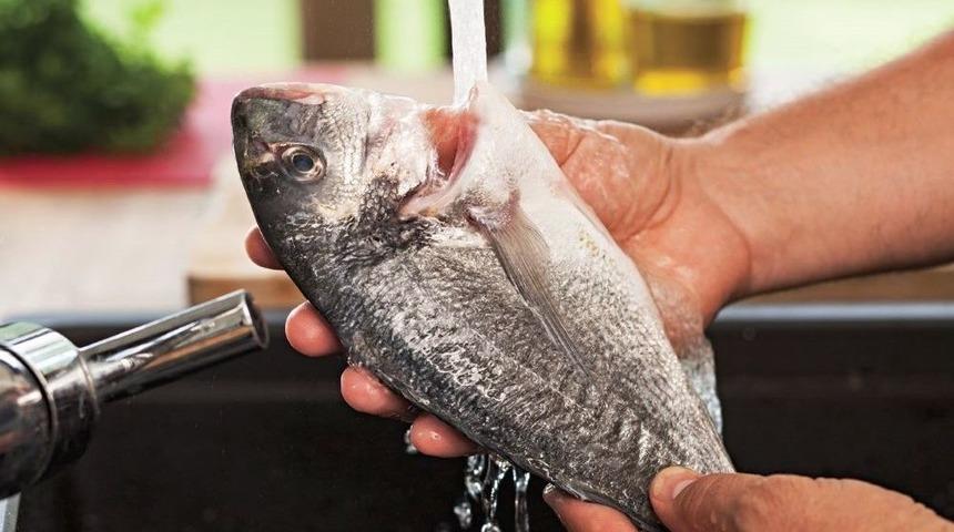 Ege Balıkları Amerika Pazarında İlgi Odağı Oldu