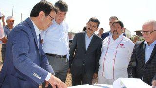 Canlı Hayvan Borsası Alanı İncelendi