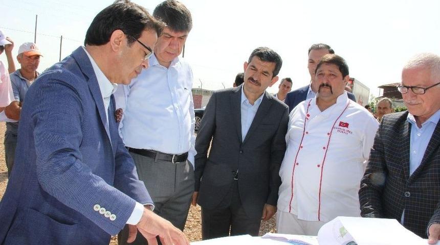 Canlı Hayvan Borsası Alanı İncelendi