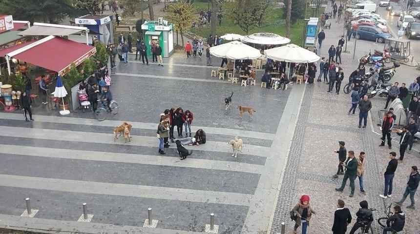 Uyuşturucuya Dikkat &Ccedil;ekmek İ&ccedil;in Sokakta Oynadılar