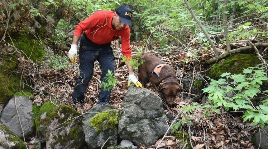 Tokat&rsquo;ta Kaybolan Muhtarı Kadavra K&ouml;peği Arıyor