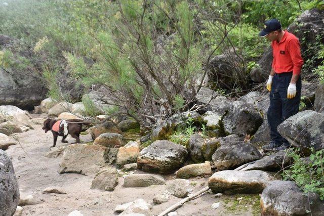 Tokat’ta Kaybolan Muhtarı Kadavra Köpeği Arıyor